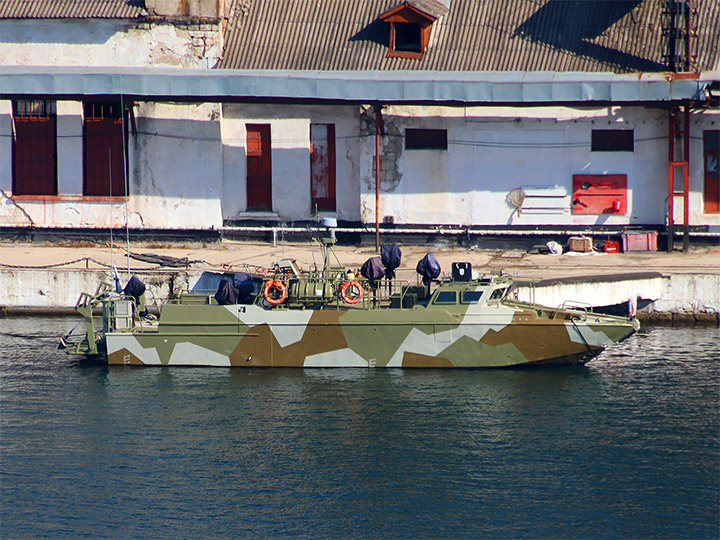Landing Craft D-310, Black Sea Fleet