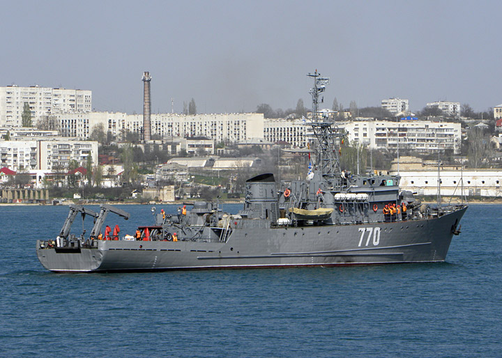 Seagoing Minesweeper "Valentin Pikul"