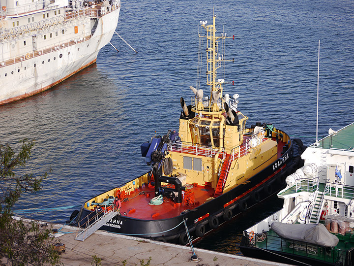 Special Purpose Tug Afalina of the Russian Black Sea Fleet