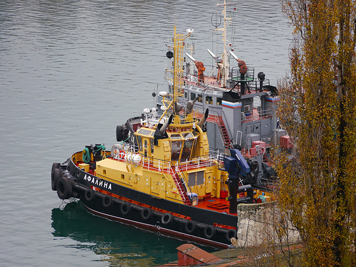 Special Purpose Tug Afalina of the Russian Black Sea Fleet