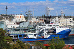 Tug Kapitan Nayden