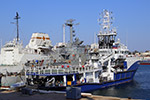 Seagoing Tug Sergey Balk