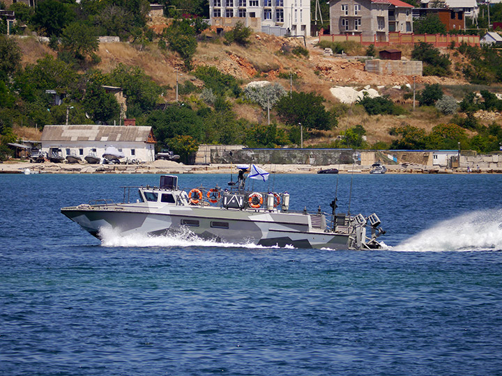 Landing Craft D-296, Black Sea Fleet