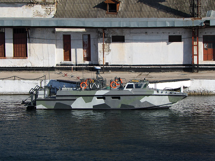 Landing Craft D-296, Black Sea Fleet