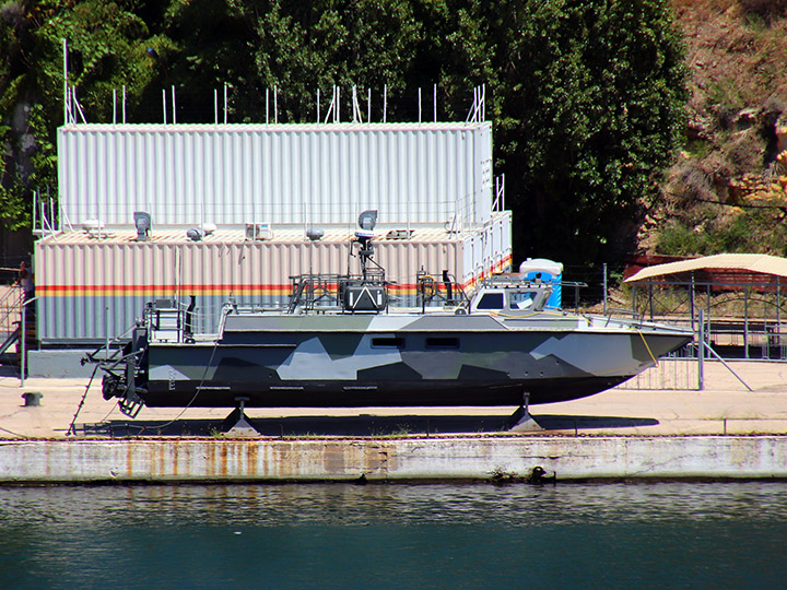 Landing Craft D-296, Black Sea Fleet