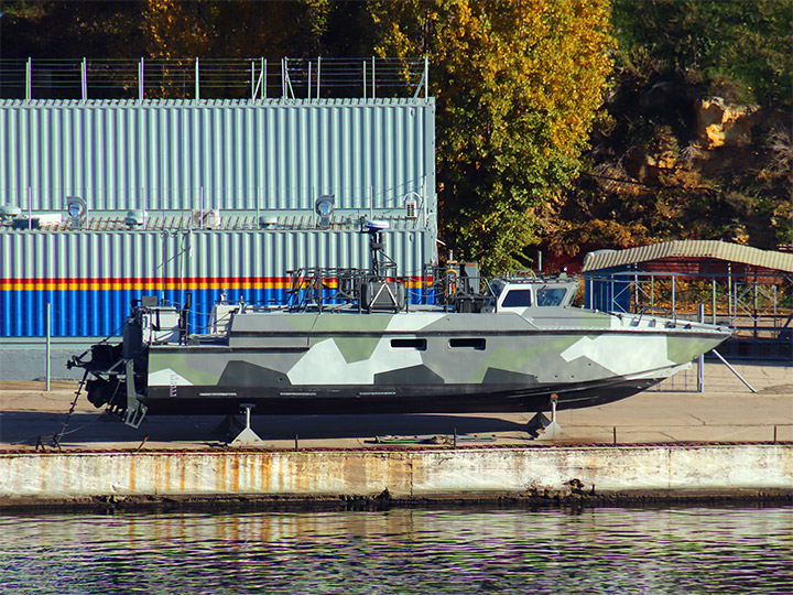 Landing Craft D-296, Black Sea Fleet