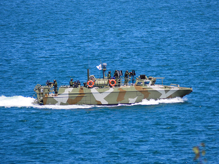 Landing Craft D-309, Black Sea Fleet