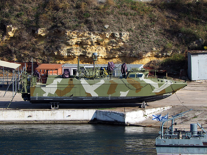 Landing Craft D-309, Black Sea Fleet