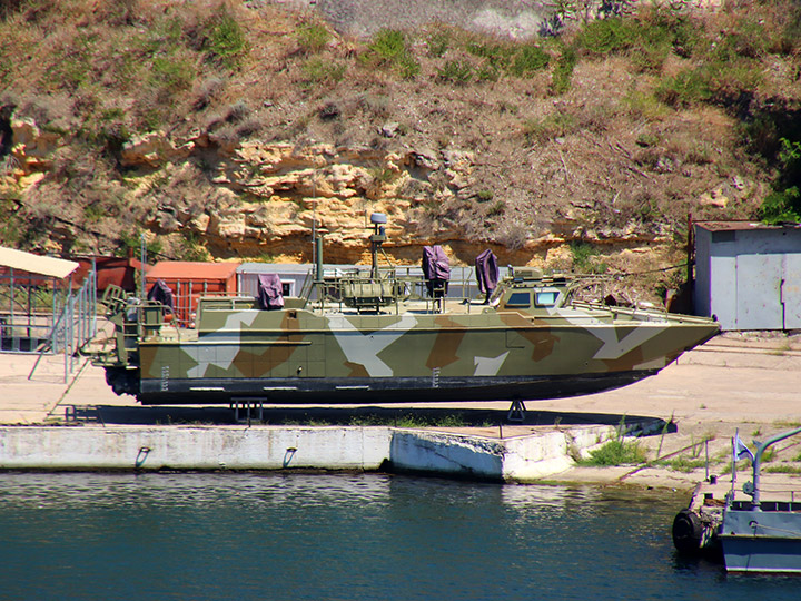 Landing Craft D-309, Black Sea Fleet