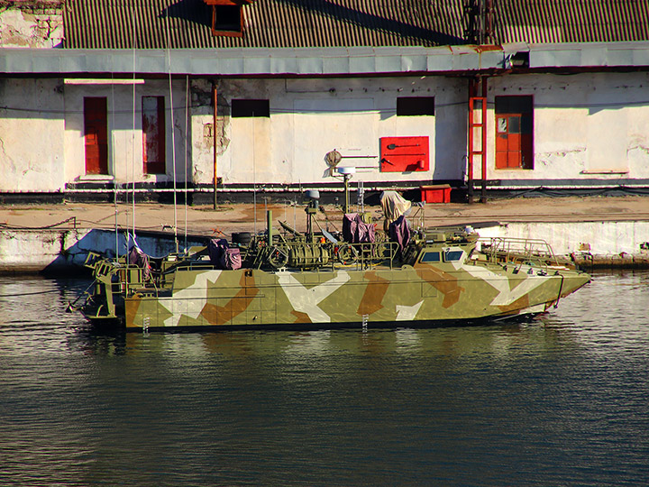 Landing Craft D-309, Black Sea Fleet