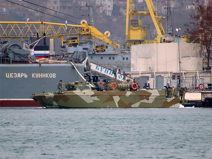 Landing Craft D-309, Black Sea Fleet