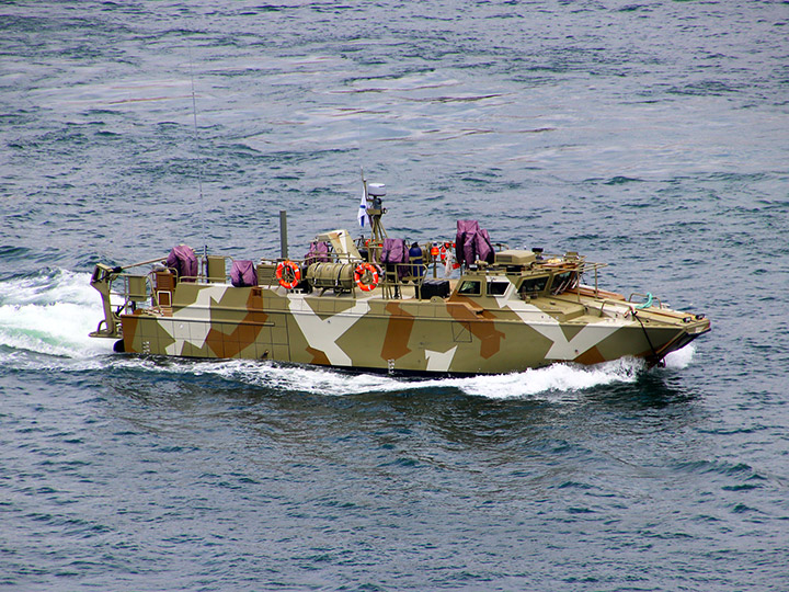 Landing Craft D-309, Black Sea Fleet