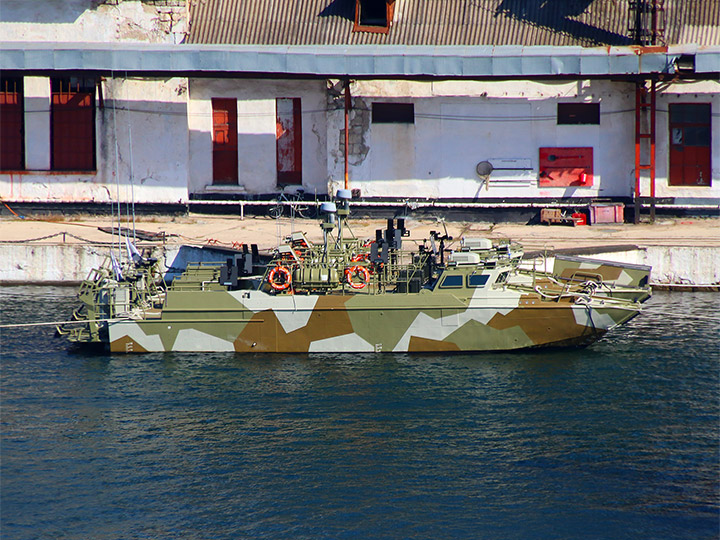 Landing Craft D-310, Black Sea Fleet