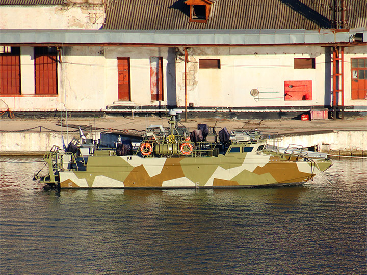 Landing Craft D-310, Black Sea Fleet