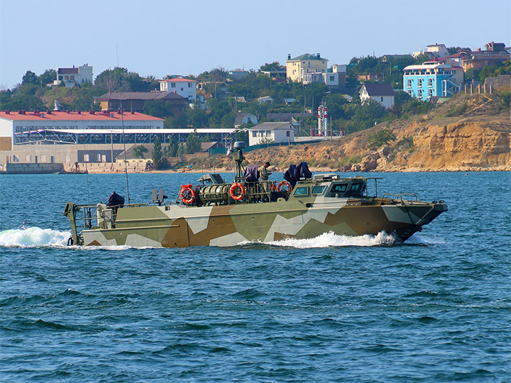 Landing Craft D-311, Black Sea Fleet