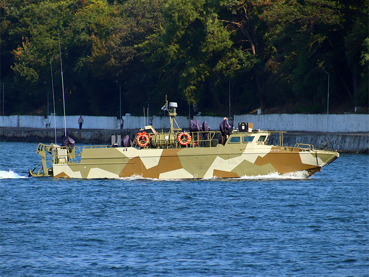 Landing Craft D-311, Black Sea Fleet