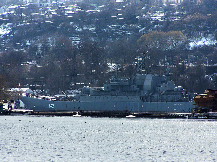 Large Landing Ship Novocherkassk, Black Sea Fleet