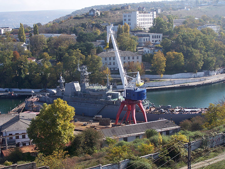 Large Landing Ship Novocherkassk, Black Sea Fleet