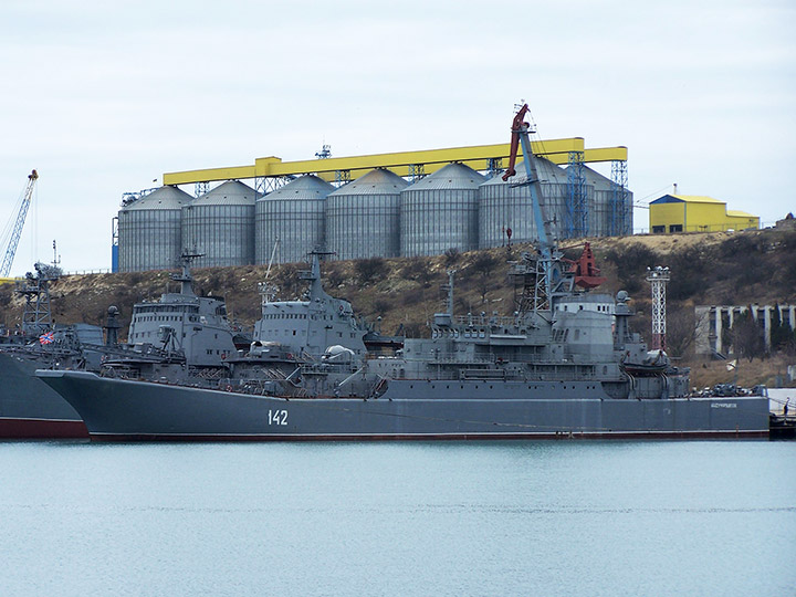 Large Landing Ship Novocherkassk, Black Sea Fleet