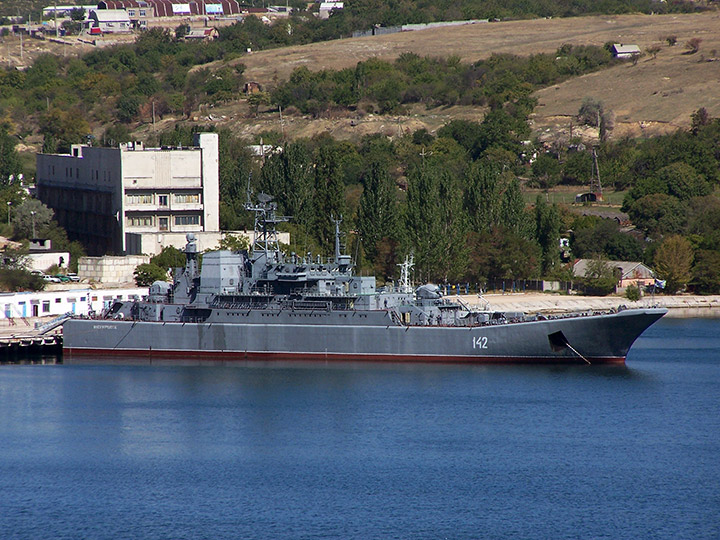 Large Landing Ship Novocherkassk, Black Sea Fleet