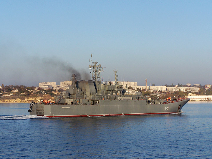 Large Landing Ship Novocherkassk, Black Sea Fleet