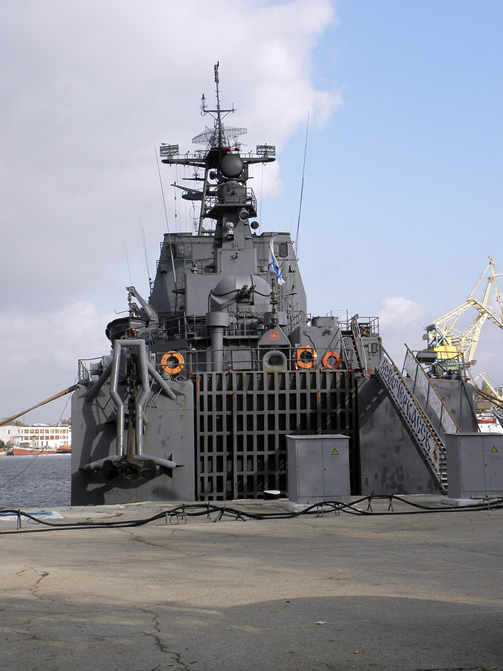 Large Landing Ship Novocherkassk, Black Sea Fleet