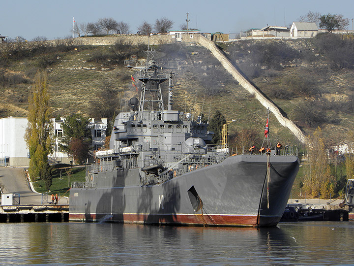 Large Landing Ship Novocherkassk, Black Sea Fleet