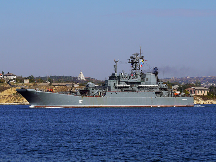 Large Landing Ship Novocherkassk, Black Sea Fleet