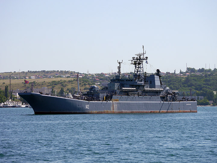 Large Landing Ship Novocherkassk, Black Sea Fleet