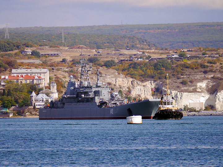 Large Landing Ship Novocherkassk, Black Sea Fleet