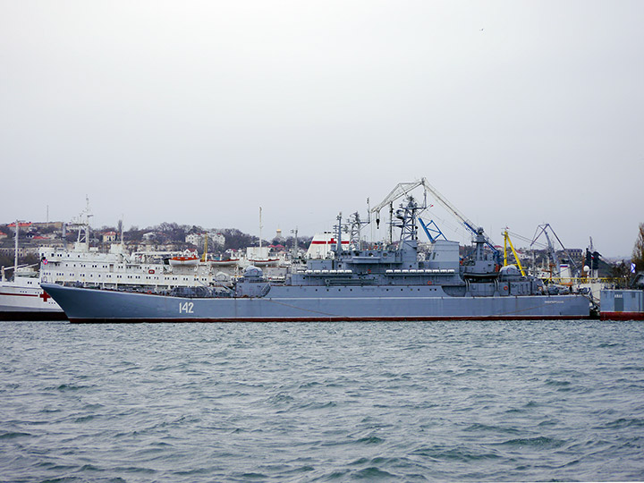 Large Landing Ship Novocherkassk, Black Sea Fleet