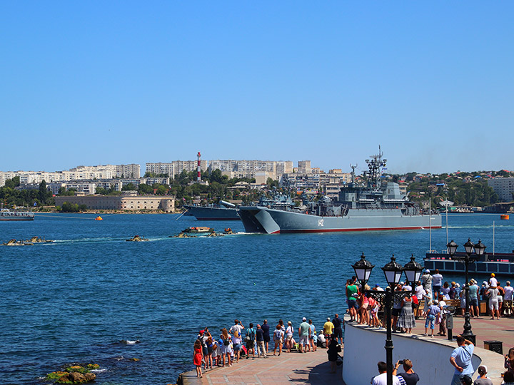 Large Landing Ship Novocherkassk, Black Sea Fleet