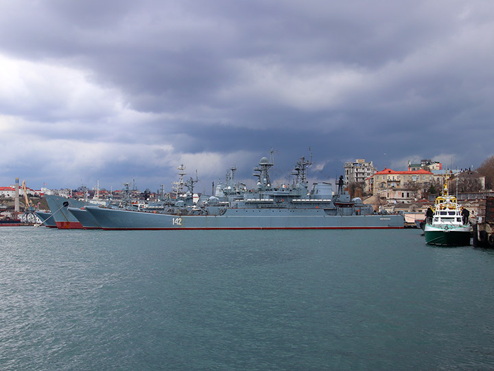 Large Landing Ship Novocherkassk, Black Sea Fleet