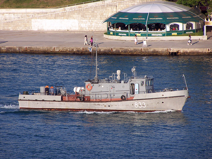 Anti-Saboteur Boat P-407, Black Sea Fleet