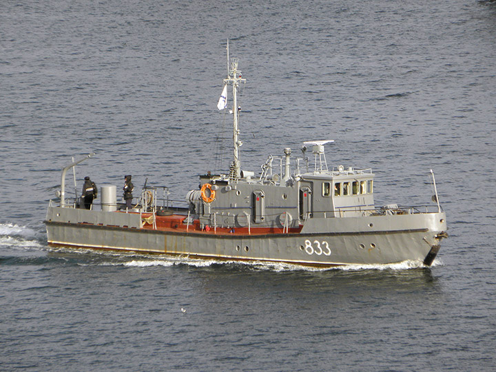 Anti-Saboteur Boat P-407, Black Sea Fleet