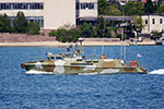 Boat P-425