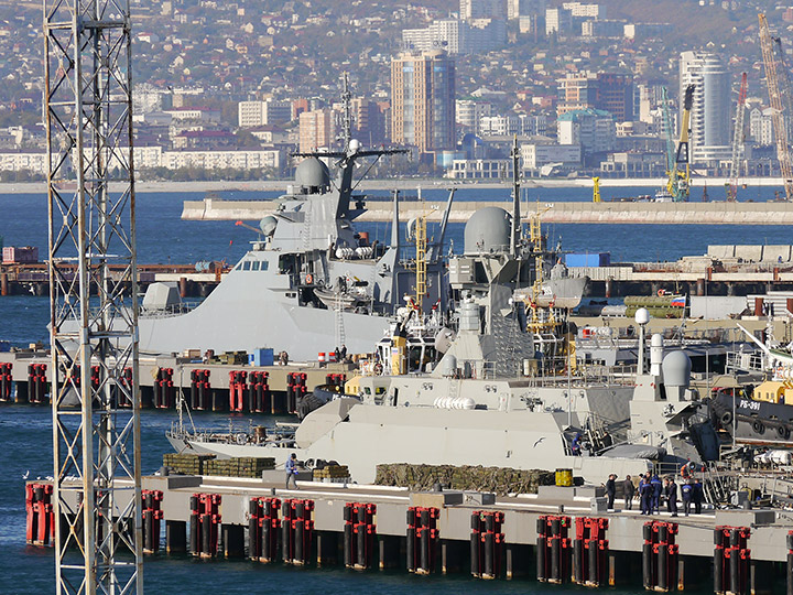 Patrol Ship "Dmitry Rogachev"