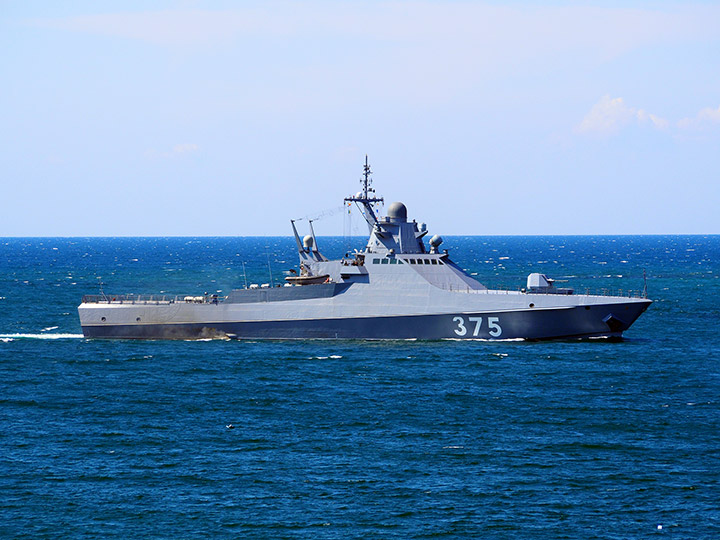 Patrol Ship Dmitry Rogachev