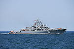 Frigate Ladny