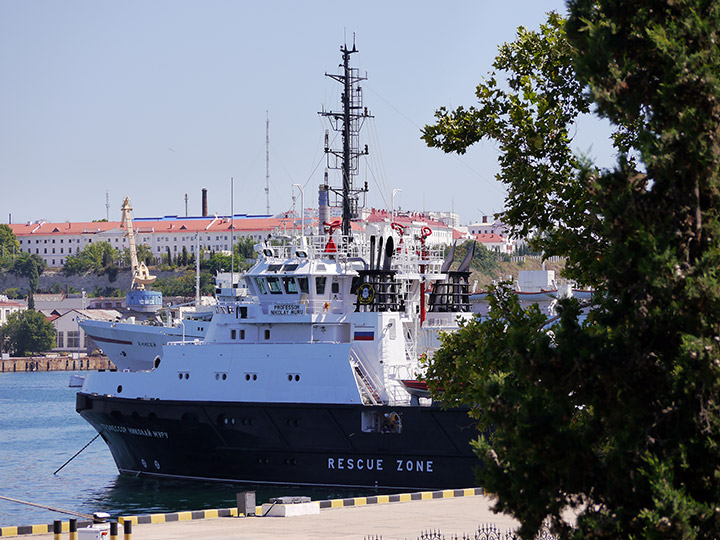 Rescue Tug Rescue Tug Professor Nikolay Muru, Black Sea Fleet