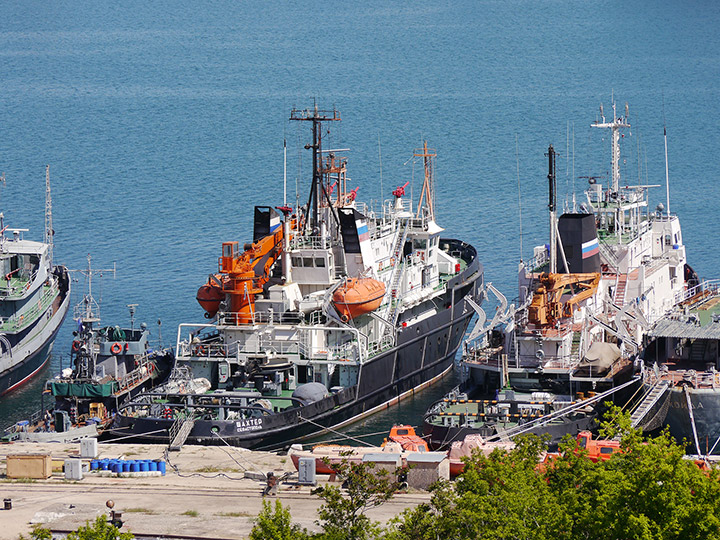 Salvage Tug Shakhter