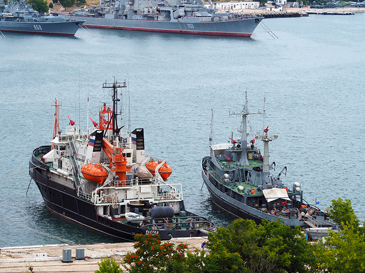 Salvage Tug Shakhter