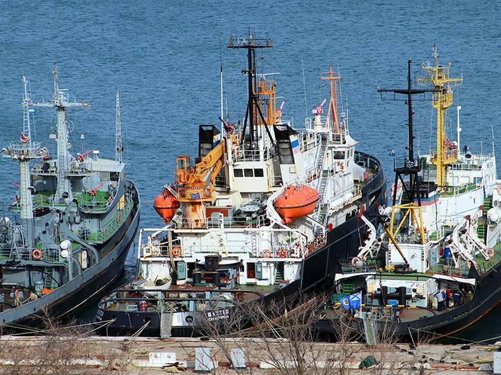 Salvage Tug Shakhter in Sevastopol, Crimea