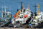 Salvage Tug Shakhter