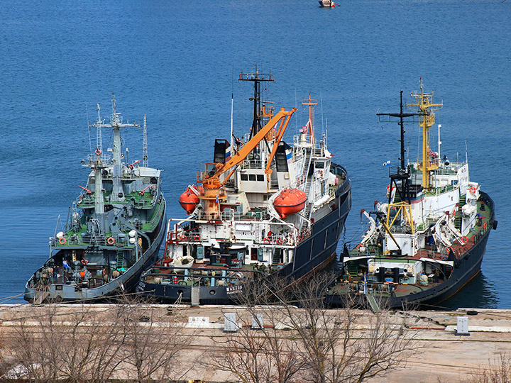 Salvage Tug Shakhter in Sevastopol, Crimea