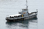 Seagoing Diving Vessel VM-9