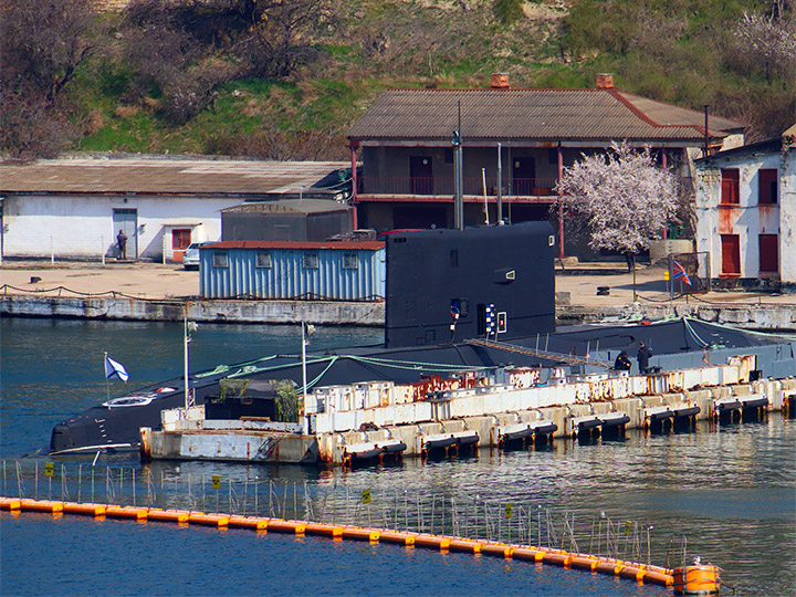 Подводная лодка "Алроса" у пирса в Севастополе и цветущий миндаль
