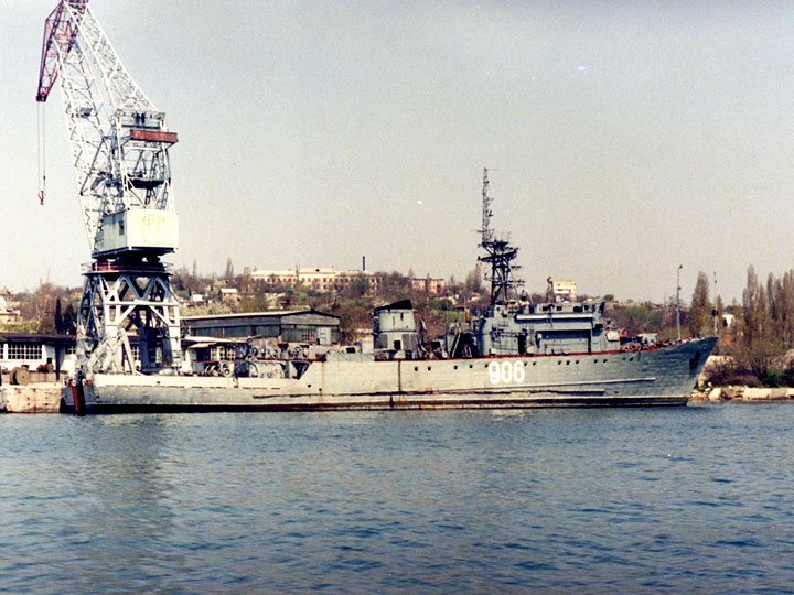 Seagoing Minesweeper Dizelist, Black Sea Fleet