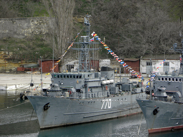 Seagoing Minesweeper Valentin Pikul, Black Sea Fleet