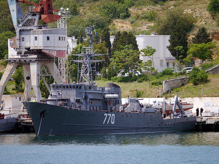 Seagoing Minesweeper Valentin Pikul, Black Sea Fleet